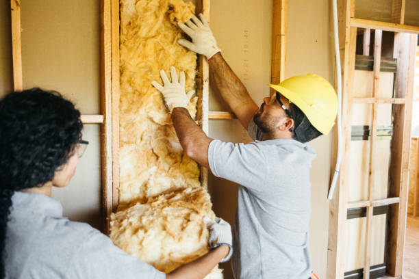 Types of Insulation We Offer in Thomaston, GA